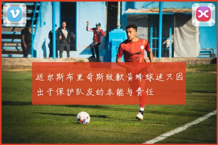 迈尔斯布里奇斯致歉黄蜂球迷只因出于保护队友的本能与责任